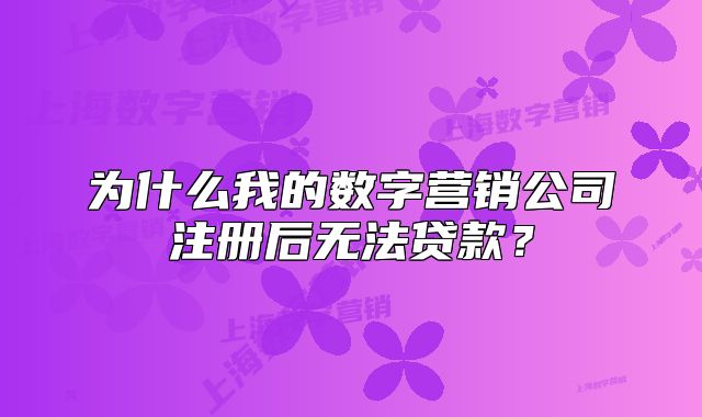 为什么我的数字营销公司注册后无法贷款?
