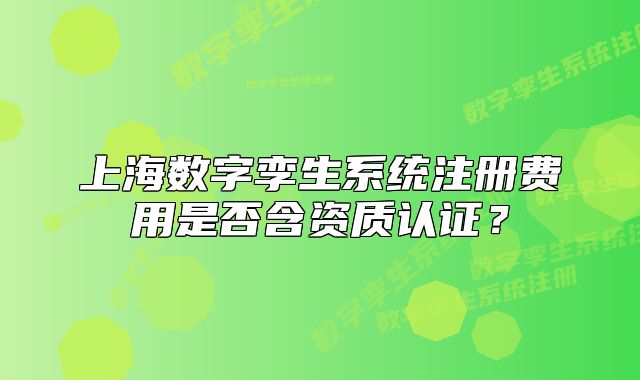 上海数字孪生系统注册费用是否含资质认证?
