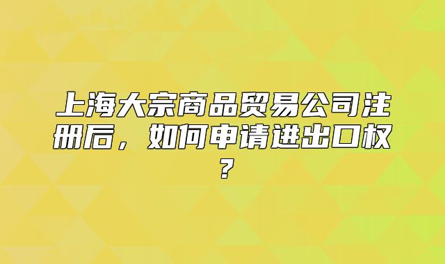 上海大宗商品贸易公司注册后，如何申请进出口权？