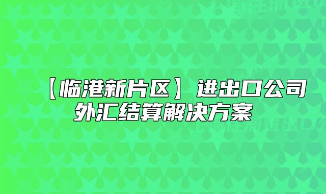 【临港新片区】进出口公司外汇结算解决方案