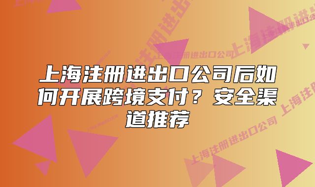 上海注册进出口公司后如何开展跨境支付?安全渠道推荐