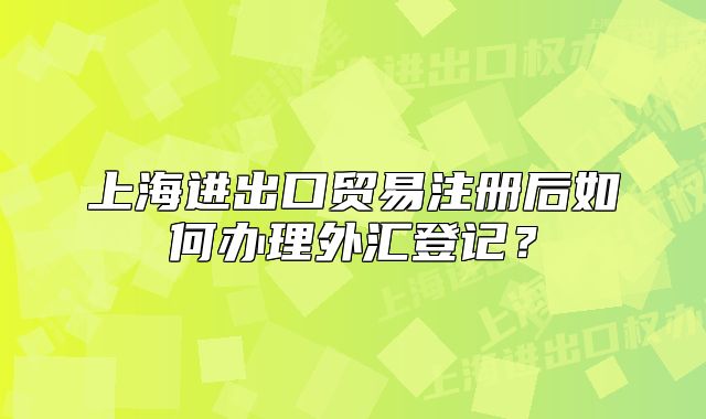 上海进出口贸易注册后如何办理外汇登记?