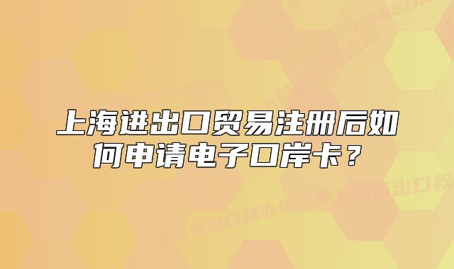 上海进出口贸易注册后如何申请电子口岸卡?