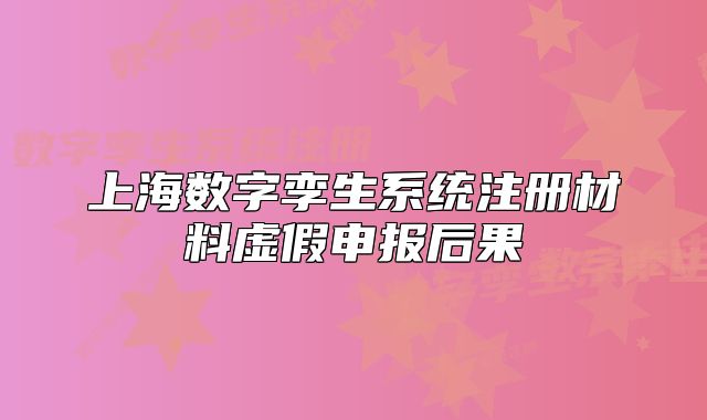 上海数字孪生系统注册材料虚假申报后果