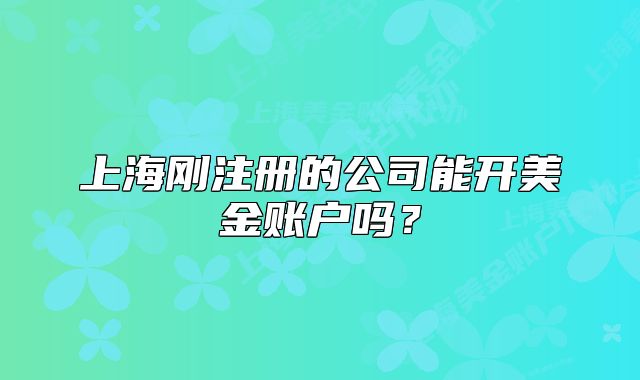上海刚注册的公司能开美金账户吗?