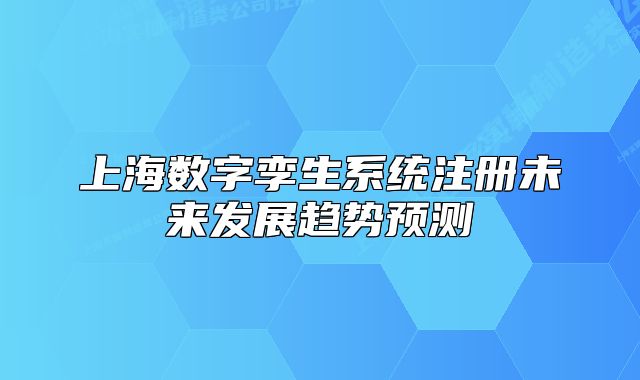 上海数字孪生系统注册未来发展趋势预测