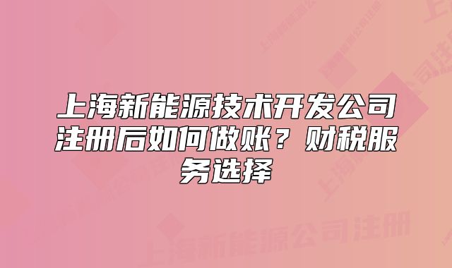 上海新能源技术开发公司注册后如何做账？财税服务选择