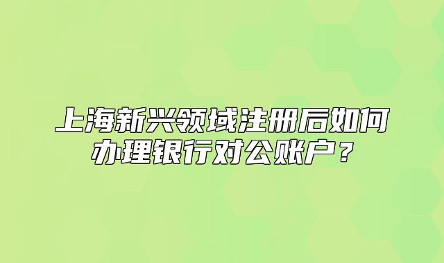 上海新兴领域注册后如何办理银行对公账户？
