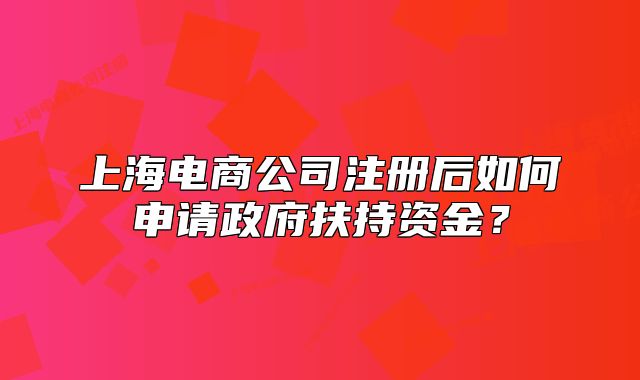 上海电商公司注册后如何申请政府扶持资金?