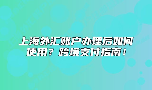 上海外汇账户办理后如何使用？跨境支付指南！