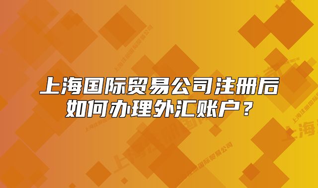 上海国际贸易公司注册后如何办理外汇账户?