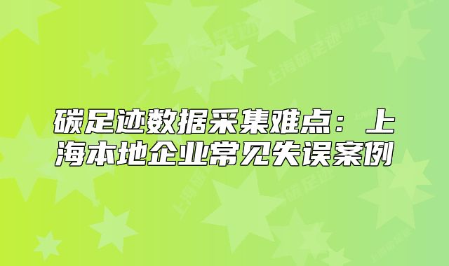 碳足迹数据采集难点:上海本地企业常见失误案例