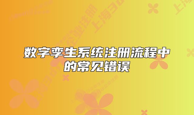 数字孪生系统注册流程中的常见错误