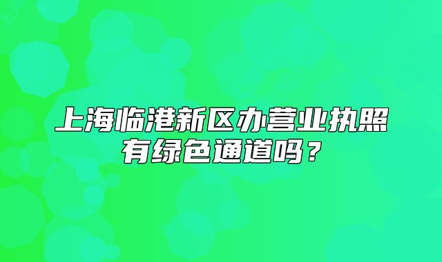 上海临港新区办营业执照有绿色通道吗？