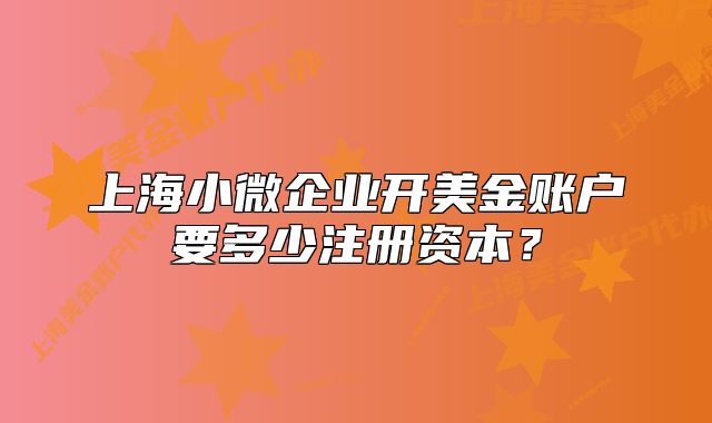 上海小微企业开美金账户要多少注册资本？