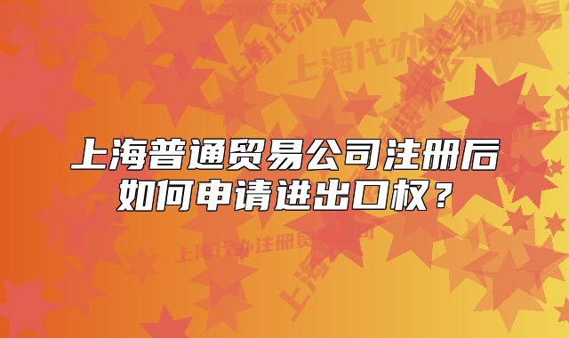 上海普通贸易公司注册后如何申请进出口权?