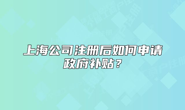 上海公司注册后如何申请政府补贴?