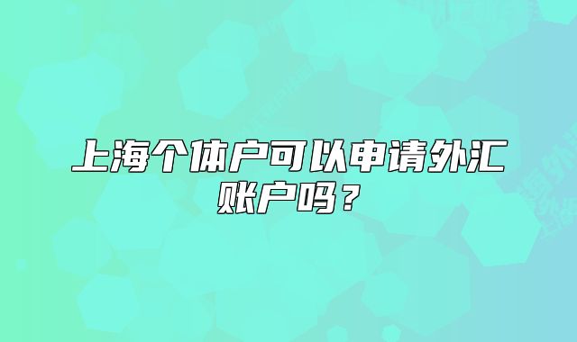 上海个体户可以申请外汇账户吗？