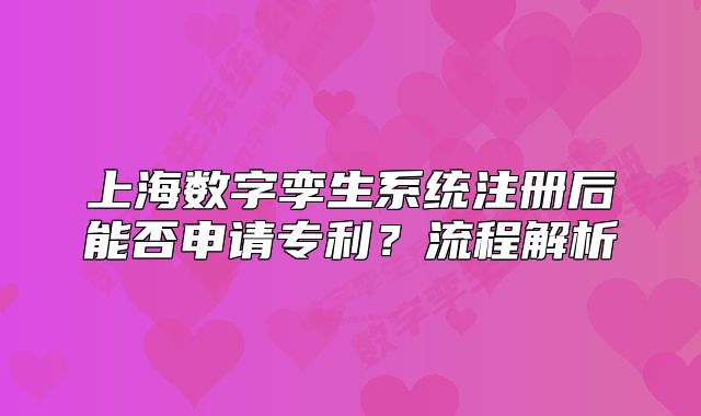 上海数字孪生系统注册后能否申请专利?流程解析