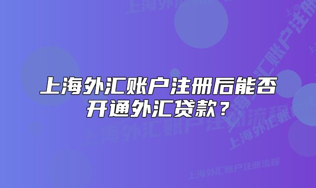 上海外汇账户注册后能否开通外汇贷款?