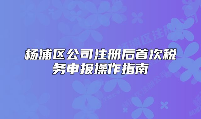 杨浦区公司注册后首次税务申报操作指南