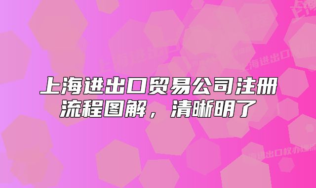 上海进出口贸易公司注册流程图解,清晰明了