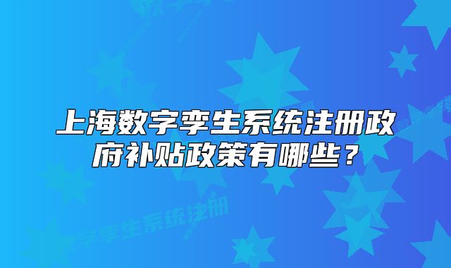 上海数字孪生系统注册政府补贴政策有哪些?