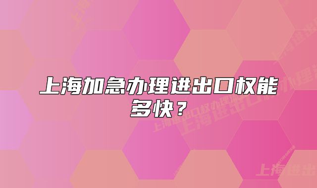 上海加急办理进出口权能多快？