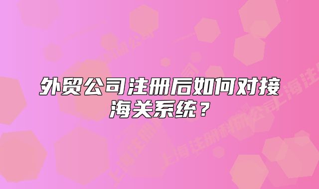外贸公司注册后如何对接海关系统?