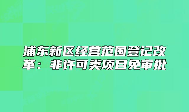 浦东新区经营范围登记改革:非许可类项目免审批