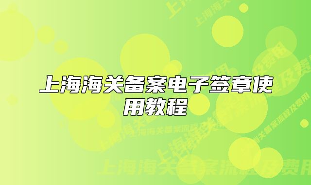 上海海关备案电子签章使用教程