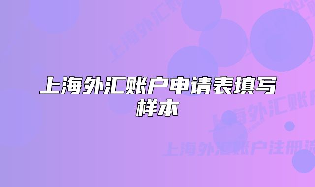 上海外汇账户申请表填写样本