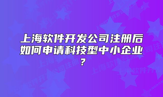 上海软件开发公司注册后如何申请科技型中小企业?