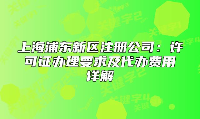 上海浦东新区注册公司：许可证办理要求及代办费用详解