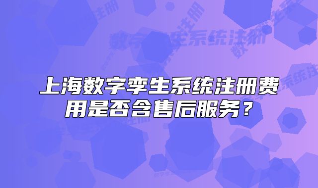 上海数字孪生系统注册费用是否含售后服务?