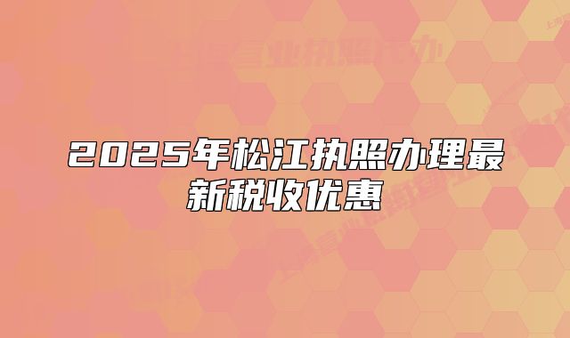 2025年松江执照办理最新税收优惠