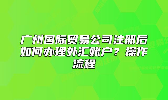 广州国际贸易公司注册后如何办理外汇账户？操作流程