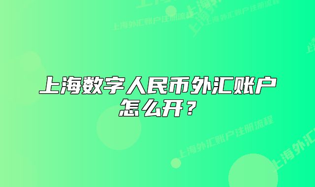 上海数字人民币外汇账户怎么开?