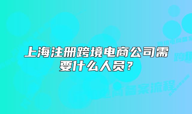 上海注册跨境电商公司需要什么人员?