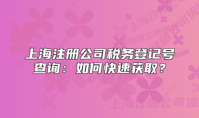 上海注册公司税务登记号查询:如何快速获取?