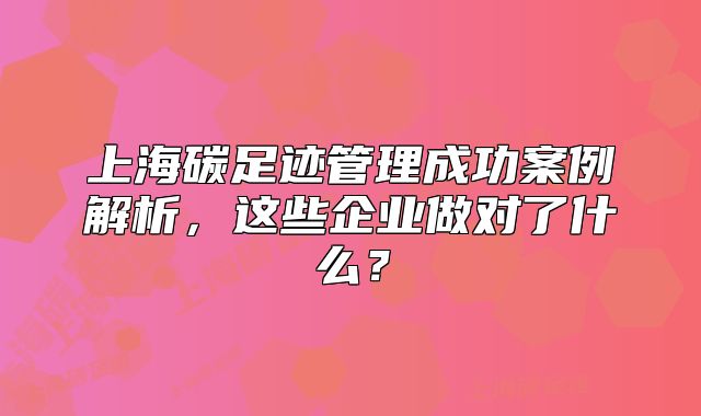 上海碳足迹管理成功案例解析，这些企业做对了什么？