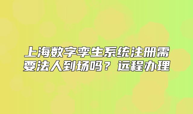 上海数字孪生系统注册需要法人到场吗？远程办理