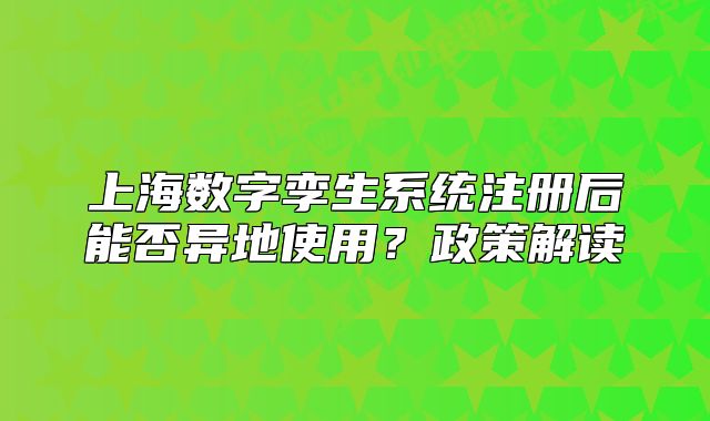 上海数字孪生系统注册后能否异地使用？政策解读