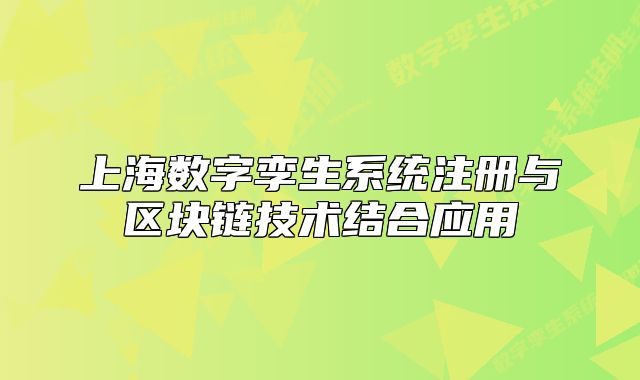 上海数字孪生系统注册与区块链技术结合应用
