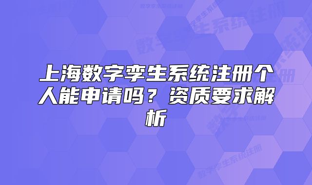 上海数字孪生系统注册个人能申请吗?资质要求解析