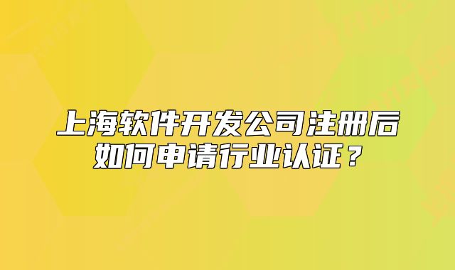上海软件开发公司注册后如何申请行业认证?