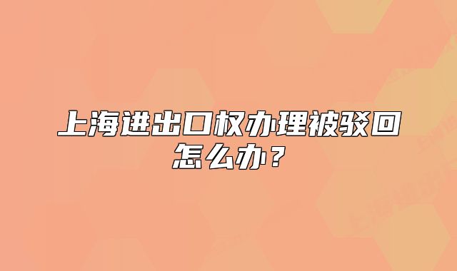 上海进出口权办理被驳回怎么办？