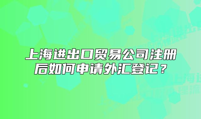 上海进出口贸易公司注册后如何申请外汇登记？
