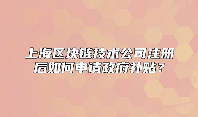 上海区块链技术公司注册后如何申请政府补贴?