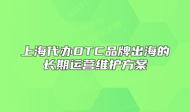 上海代办DTC品牌出海的长期运营维护方案